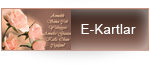 e-kartlar