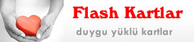 flash kartlar