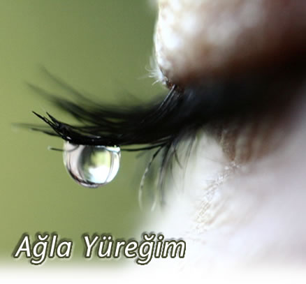 a�la