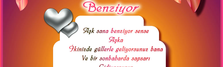 A�k sana benziyor sense
A�ka
�kinizde g�llerle geliyorsunuz bana
Ve bir sonbaharda sapsar�
Gidiyorsunuz
Ben kalakal�yorum ikinizle de
A�k sana benziyor
Sense biraz bana
Ortak bir paydan�n
Apayr� kesirleriymi�iz oysa
E�itleneme sekte
Bir �izginin ayr�m�nda
A�k demi�tim ben sana