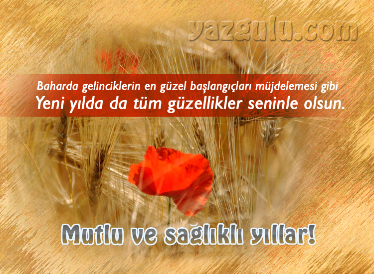 Ho�geldin 2011